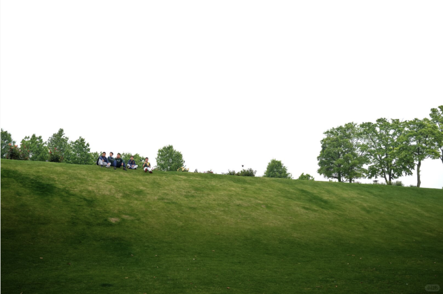 截屏2025-07-09 14.02.11.png